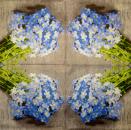 313 Flowers Others - 3-ply - WIDA - 35x35 cm